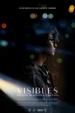 Постер: Visible: Transgender Youth Stories
