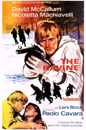 Постер: The Ravine