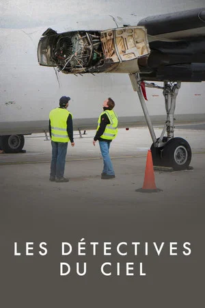 Постер: Les Détectives du ciel