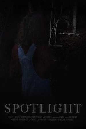 Постер: Spotlight