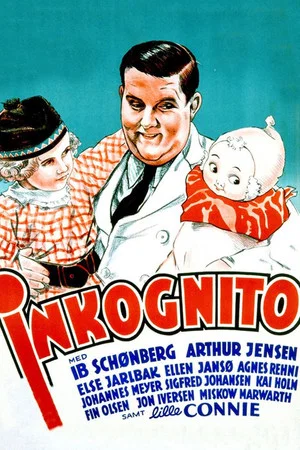 Постер: Incognito