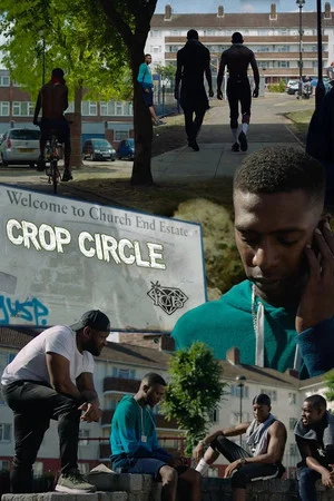 Постер: Crop Circle