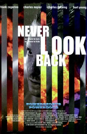 Постер: Never Look Back