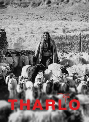 Постер: Tharlo
