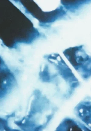 Постер: Ecosystem 5 ~ A Tremulous Stone