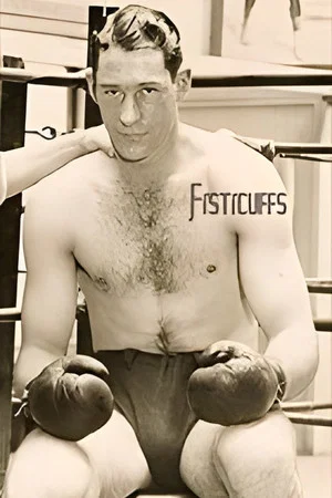 Постер: Fisticuffs