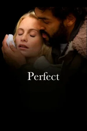 Постер: Perfect