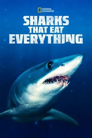 Постер: Sharks That Eat Everything