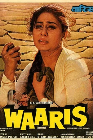 Постер: Waaris