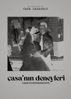 Постер: Casa's Experiments