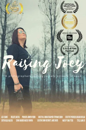 Постер: Raising Joey