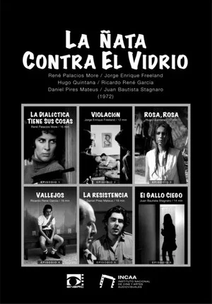 Постер: La ñata contra el vidrio