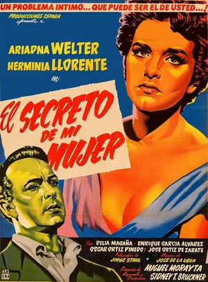 Постер: El secreto de mi mujer