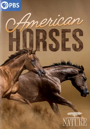 Постер: American Horses