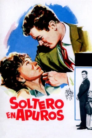 Постер: Un soltero en apuros