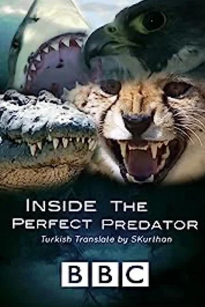 Постер: Inside the Perfect Predator