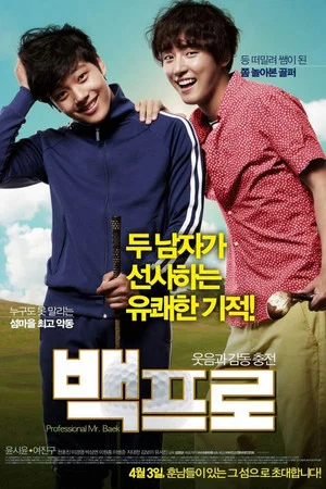 Постер: Mr. Perfect