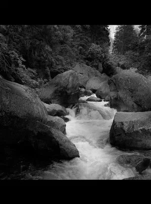 Постер: Yosemite