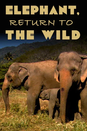 Постер: Elephant, Return to the Wild