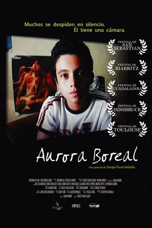 Постер: Aurora Boreal