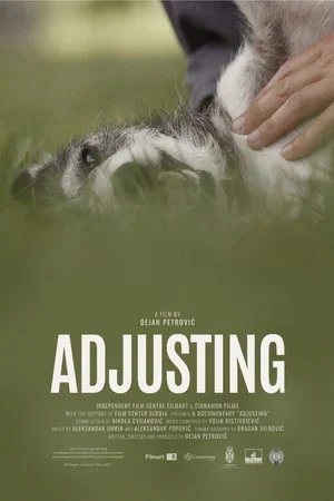 Постер: Adjusting