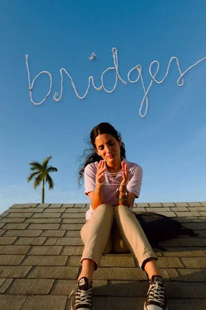 Постер: Bridges
