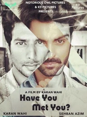 Постер: Have You Met You