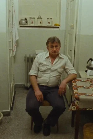 Постер: Every Day is Different?