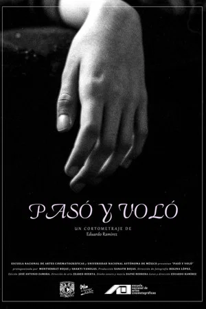 Постер: Pasó y voló