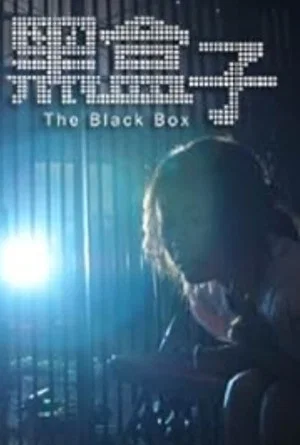 Постер: The Black Box