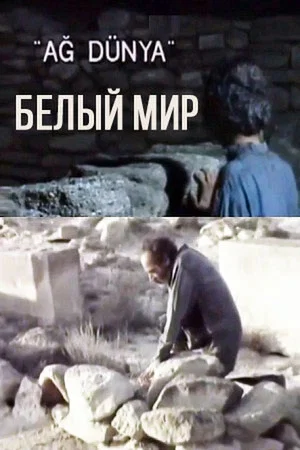 Постер: White World