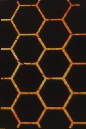 Постер: Hexes