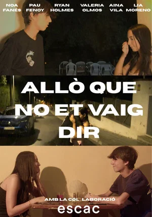 Постер: Allò que no et vaig dir
