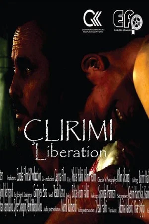 Постер: Liberation