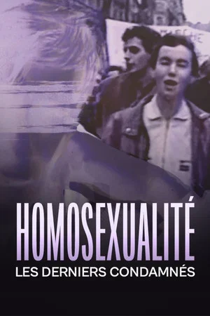 Постер: Homosexualité, les derniers condamnés