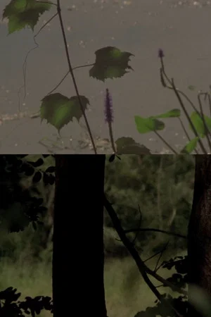 Постер: Under a Tree