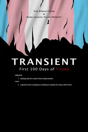 Постер: Transient