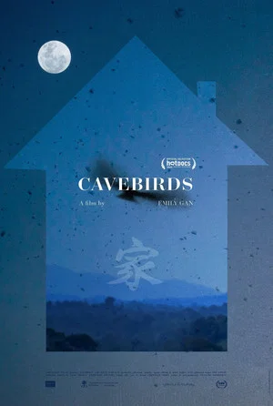 Постер: Cavebirds