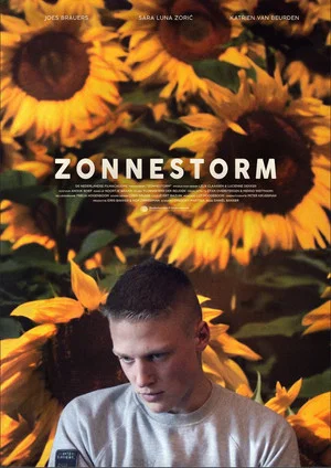 Постер: Zonnestorm