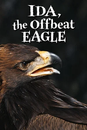 Постер: Ida, the Offbeat Eagle