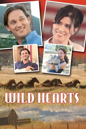 Постер: Wild Hearts