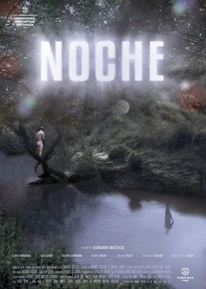 Постер: Night