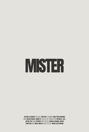 Постер: Mister
