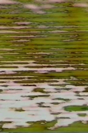 Постер: Mirror Road