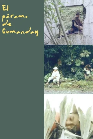 Постер: The Heights of Cumanday