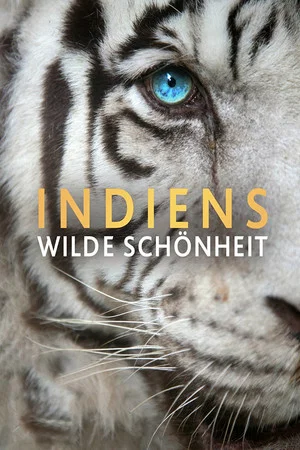 Постер: India's Wild Beauty