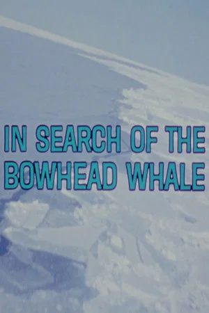 Постер: In Search of the Bowhead Whale