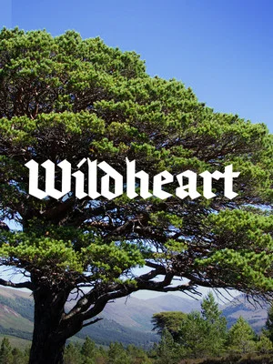 Постер: Wildheart