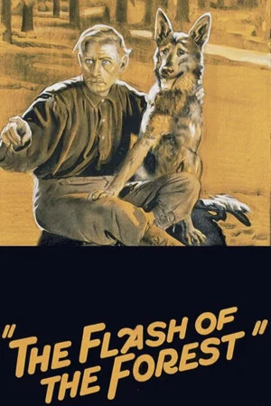 Постер: The Flash of the Forest