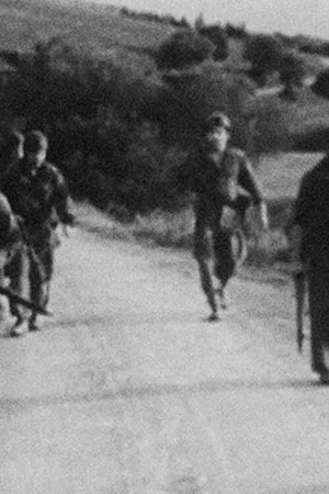 Постер: Algérie 1962: Chronique d'un conflit
